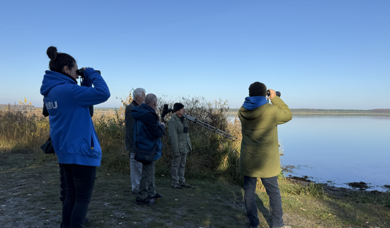 Mit den Ferngläsern den Vögeln auf der Spur. Foto: Franziska Biallas